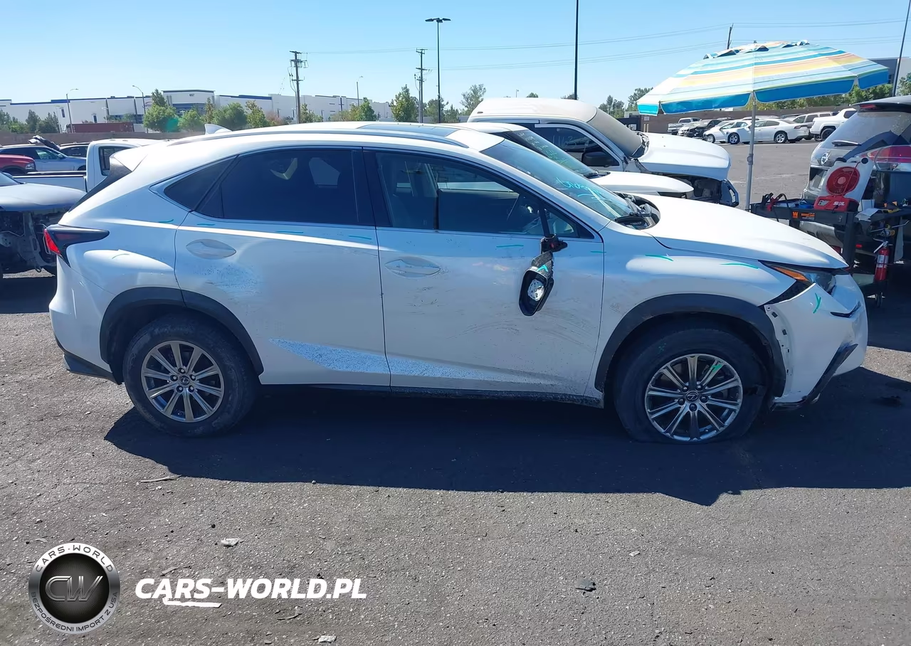 2019 Lexus Nx 300 VIN:JTJYARBZ1K2145231 - 13