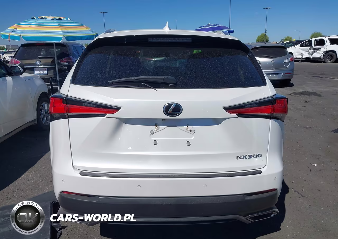 2019 Lexus Nx 300 VIN:JTJYARBZ1K2145231 - 16
