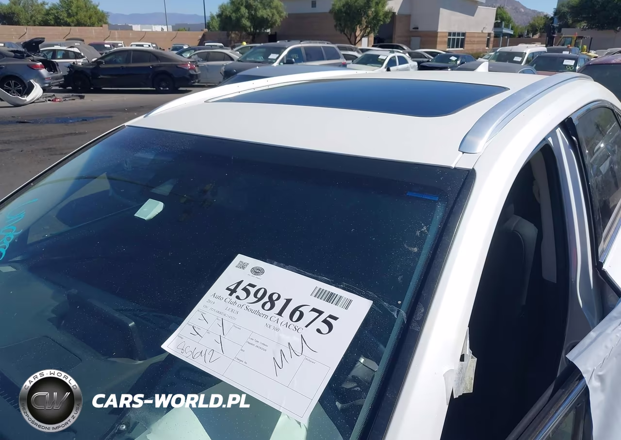 2019 Lexus Nx 300 VIN:JTJYARBZ1K2145231 - 17