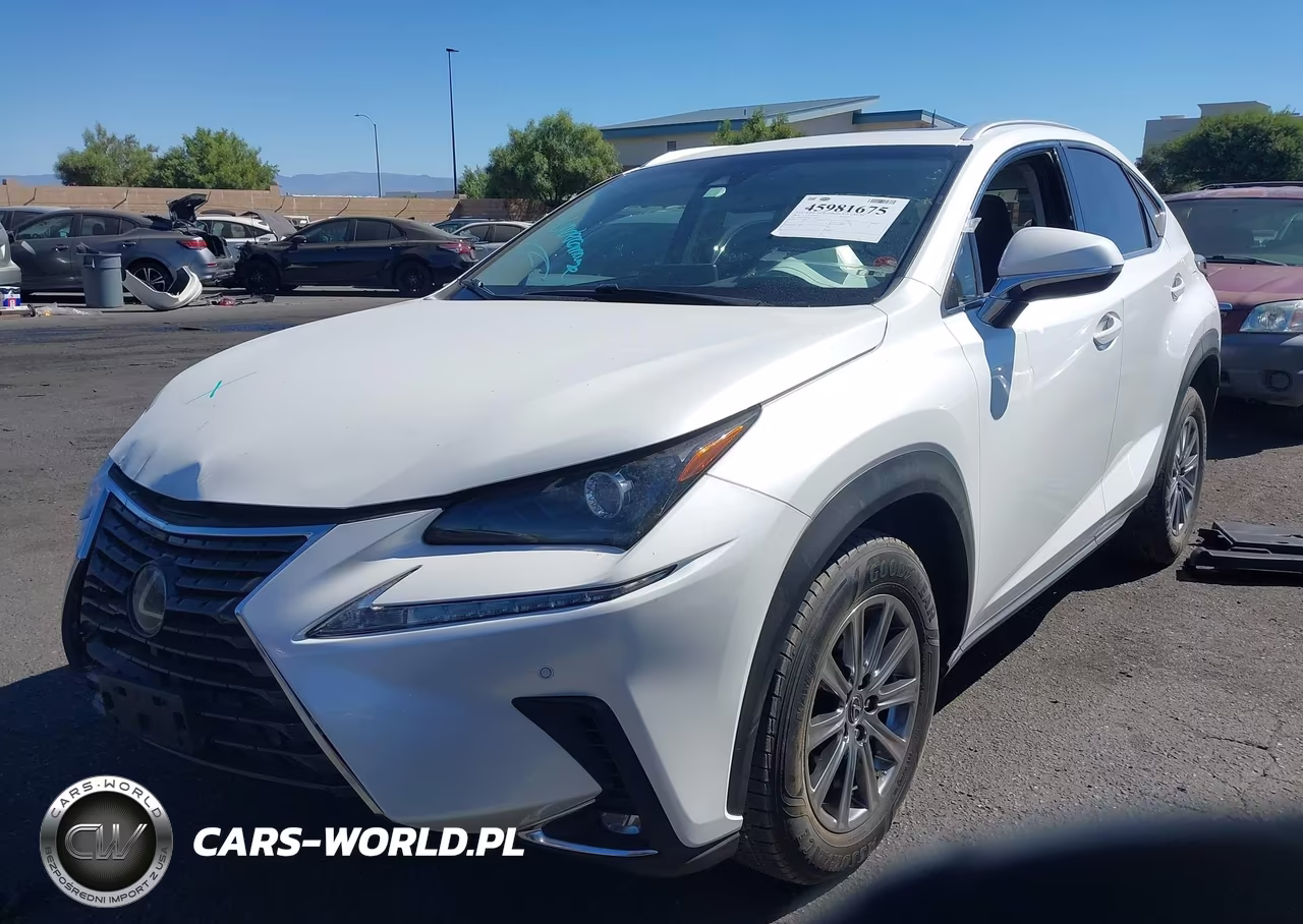 2019 Lexus Nx 300 VIN:JTJYARBZ1K2145231 - 2