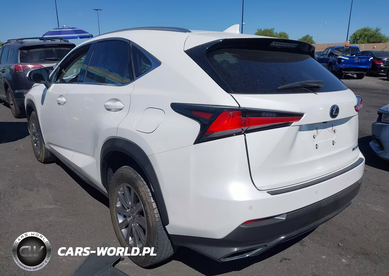 2019 Lexus Nx 300 VIN:JTJYARBZ1K2145231 - 3