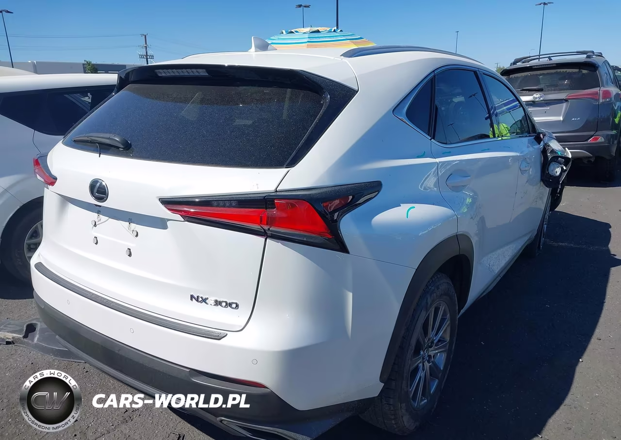 2019 Lexus Nx 300 VIN:JTJYARBZ1K2145231 - 4