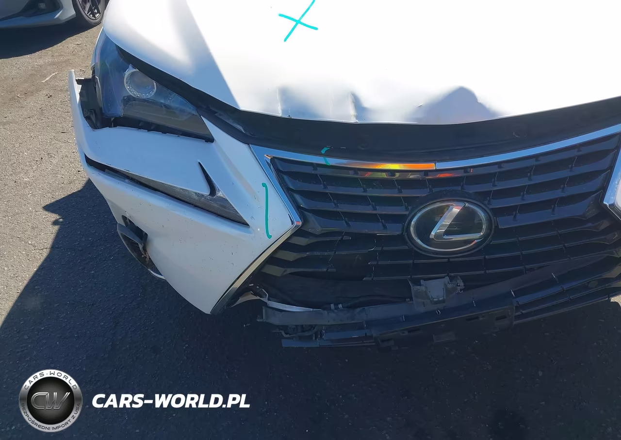 2019 Lexus Nx 300 VIN:JTJYARBZ1K2145231 - 6