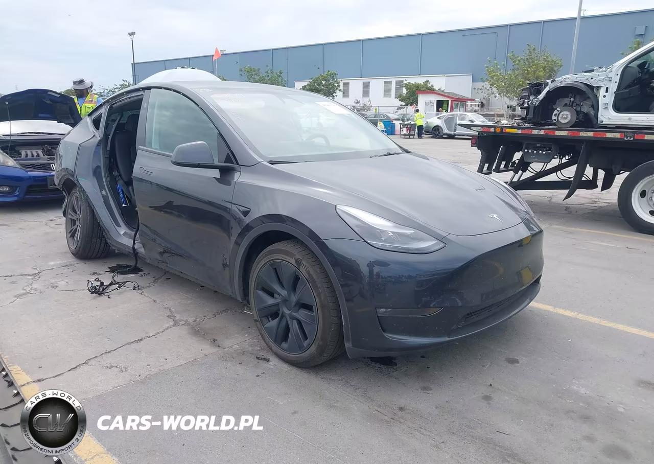 2025 Tesla Model Y Long Range Dual Motor All-Wheel Drive VIN:7SAYGDEEXSF241159 - 1