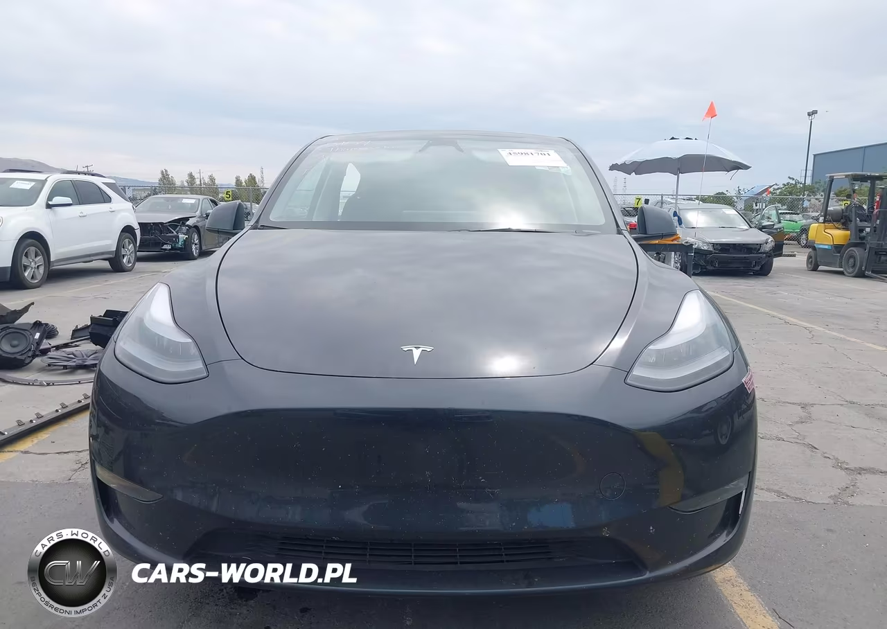 2025 Tesla Model Y Long Range Dual Motor All-Wheel Drive VIN:7SAYGDEEXSF241159 - 13
