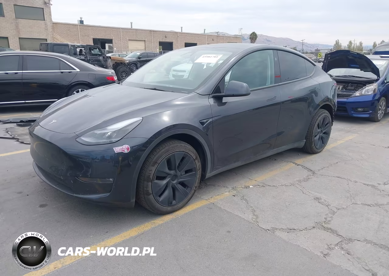 2025 Tesla Model Y Long Range Dual Motor All-Wheel Drive VIN:7SAYGDEEXSF241159 - 2