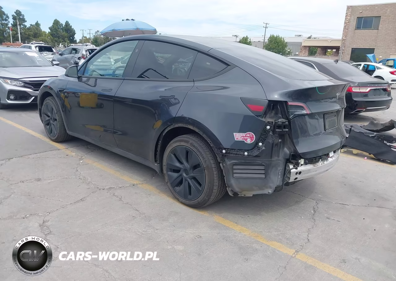 2025 Tesla Model Y Long Range Dual Motor All-Wheel Drive VIN:7SAYGDEEXSF241159 - 3