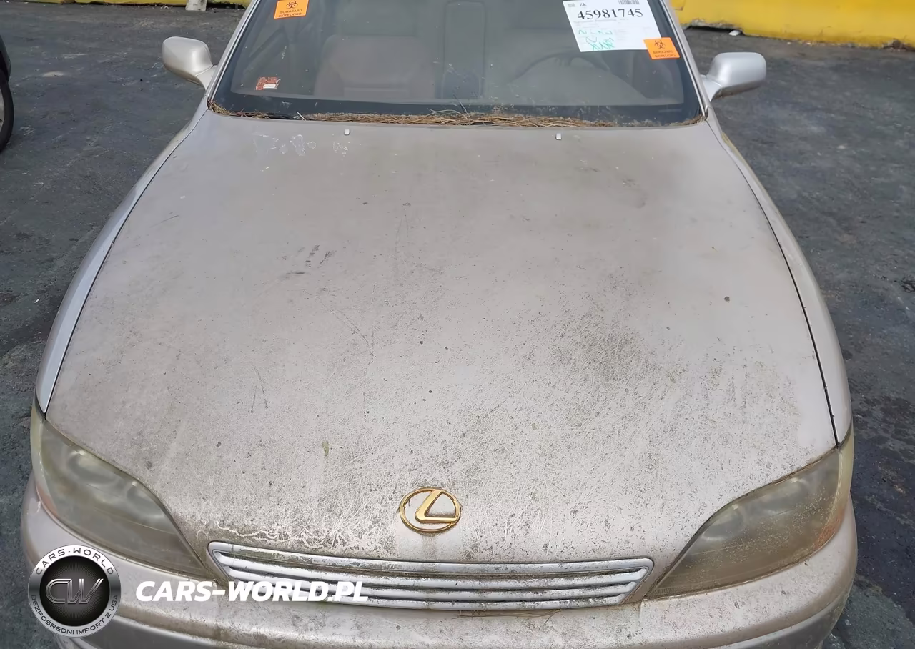 1996 Lexus Es 300 VIN:JT8BF12G5T0175578 - 10