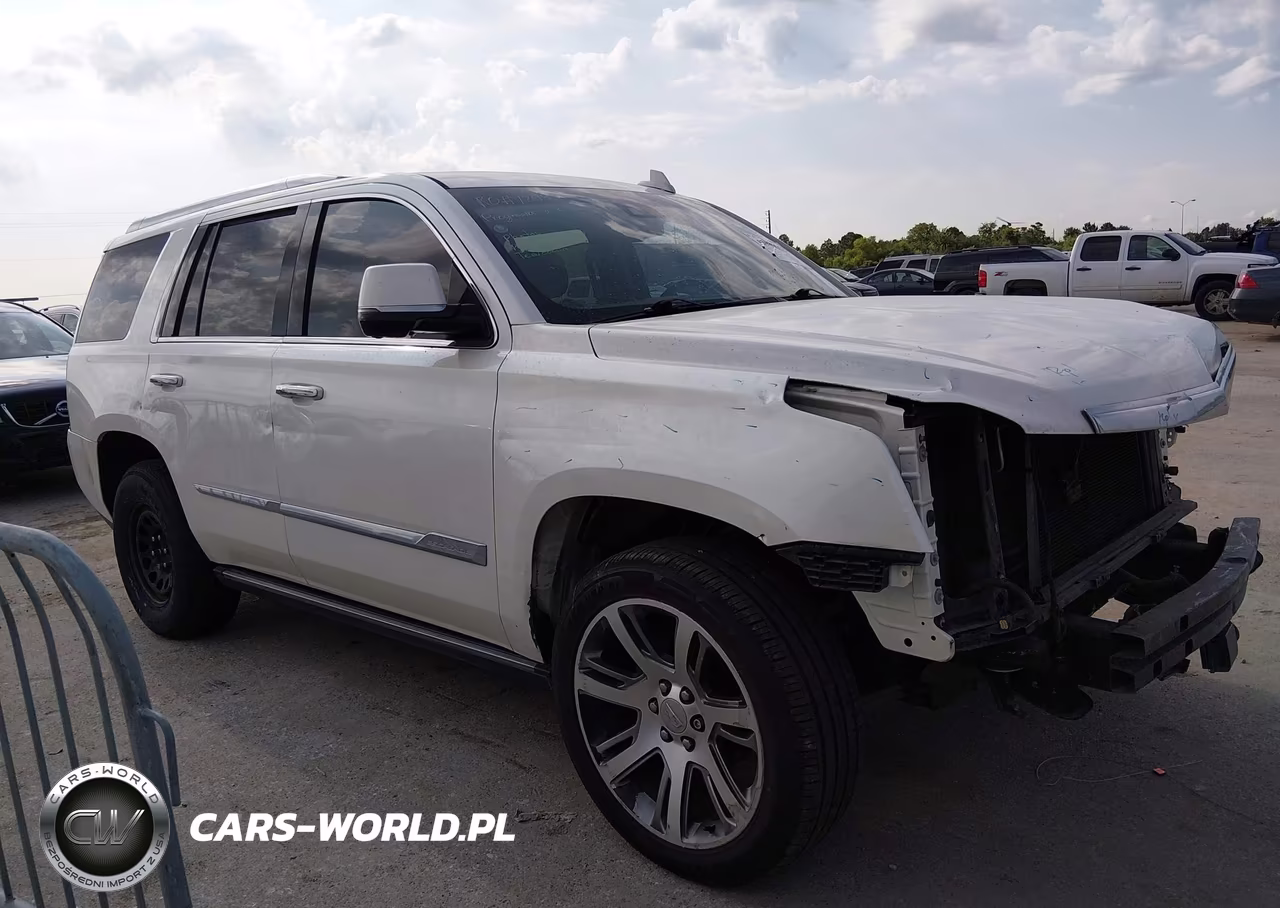 2015 Cadillac Escalade Premium VIN:1GYS4NKJ3FR634496 - 1