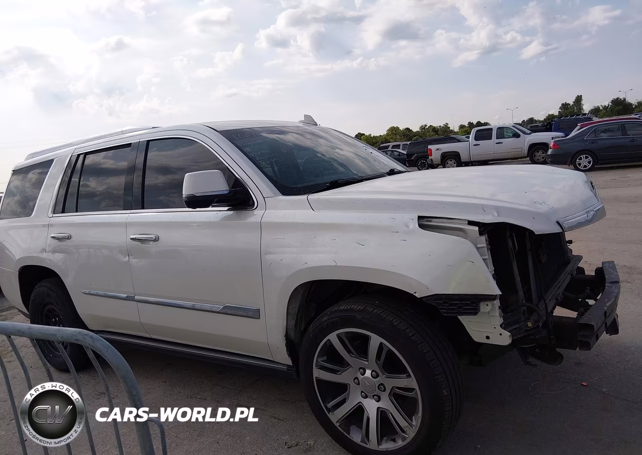 2015 Cadillac Escalade Premium VIN:1GYS4NKJ3FR634496 - 13