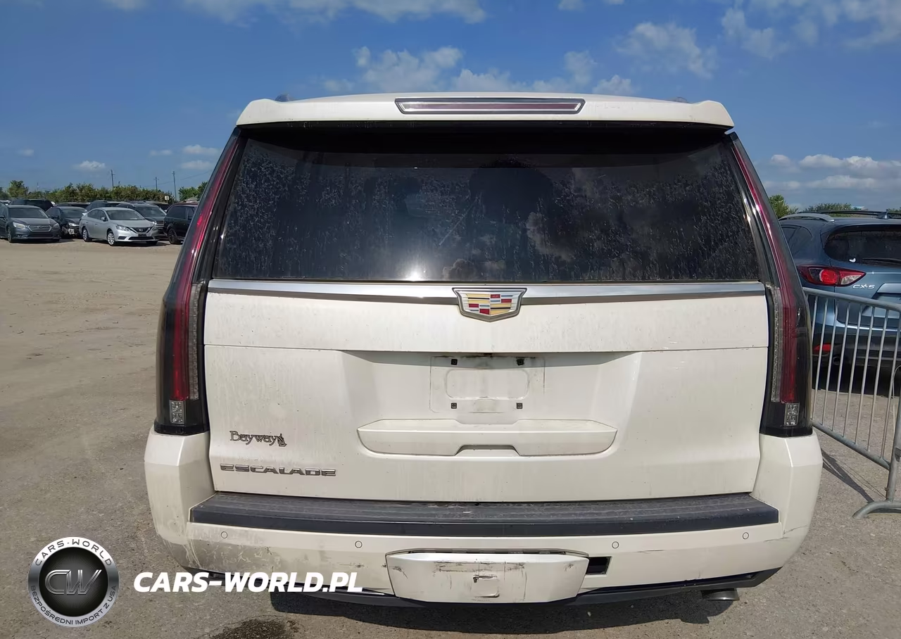 2015 Cadillac Escalade Premium VIN:1GYS4NKJ3FR634496 - 16