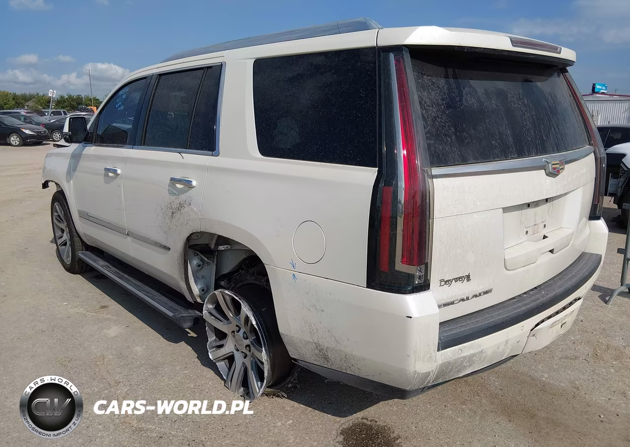 2015 Cadillac Escalade Premium VIN:1GYS4NKJ3FR634496 - 3