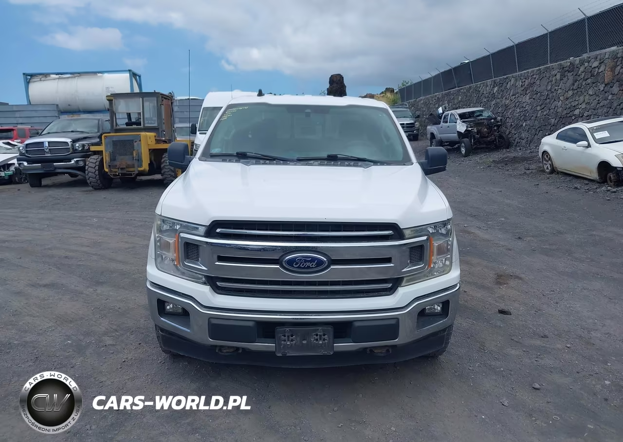 2019 Ford F-150 Xlt VIN:1FTFX1E44KKD58944 - 12