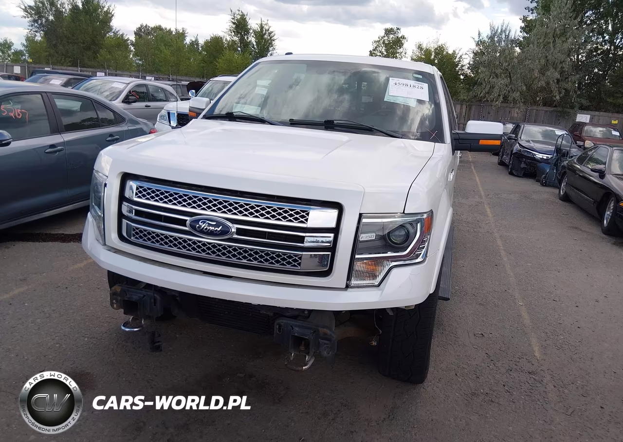 2013 Ford F-150 Limited VIN:1FTFW1ET0DFC87795 - 12