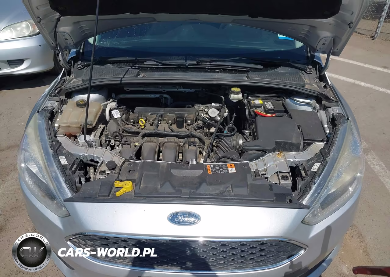 2017 Ford Focus Se VIN:1FADP3F24HL296406 - 10