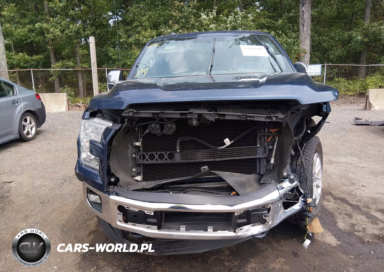 2015 Ford F-150 Xlt VIN:1FTEW1EG6FFC12455 - 12