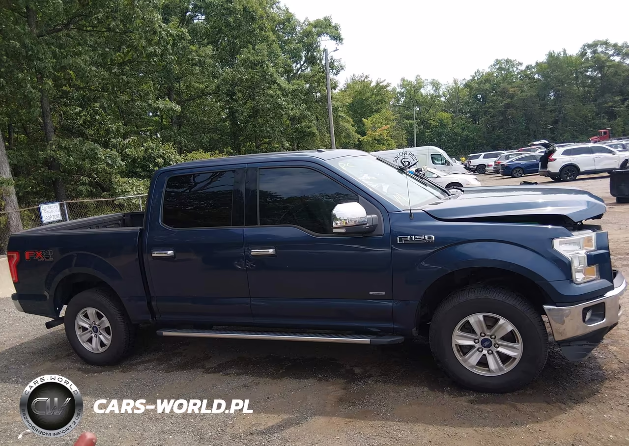 2015 Ford F-150 Xlt VIN:1FTEW1EG6FFC12455 - 13