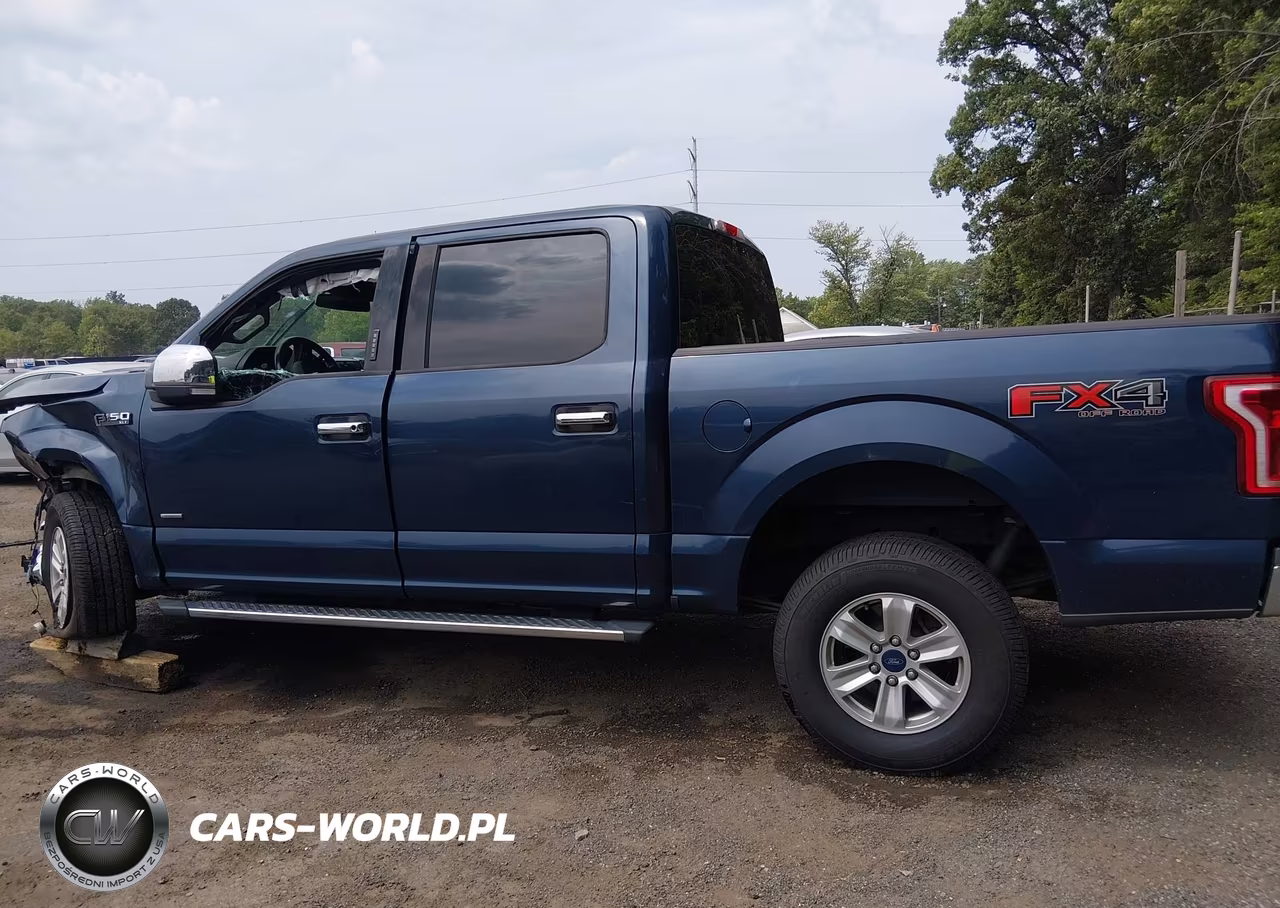 2015 Ford F-150 Xlt VIN:1FTEW1EG6FFC12455 - 14