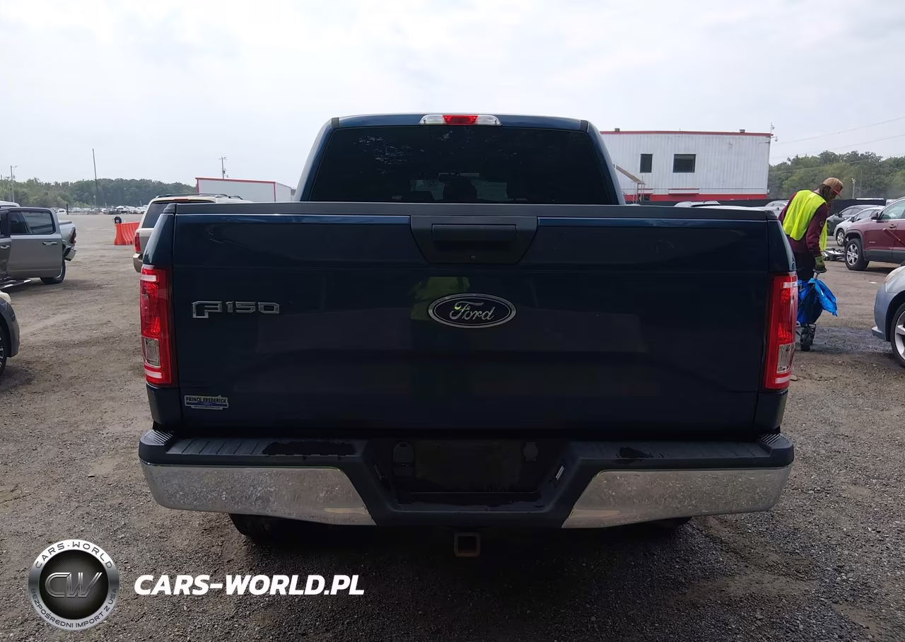 2015 Ford F-150 Xlt VIN:1FTEW1EG6FFC12455 - 16