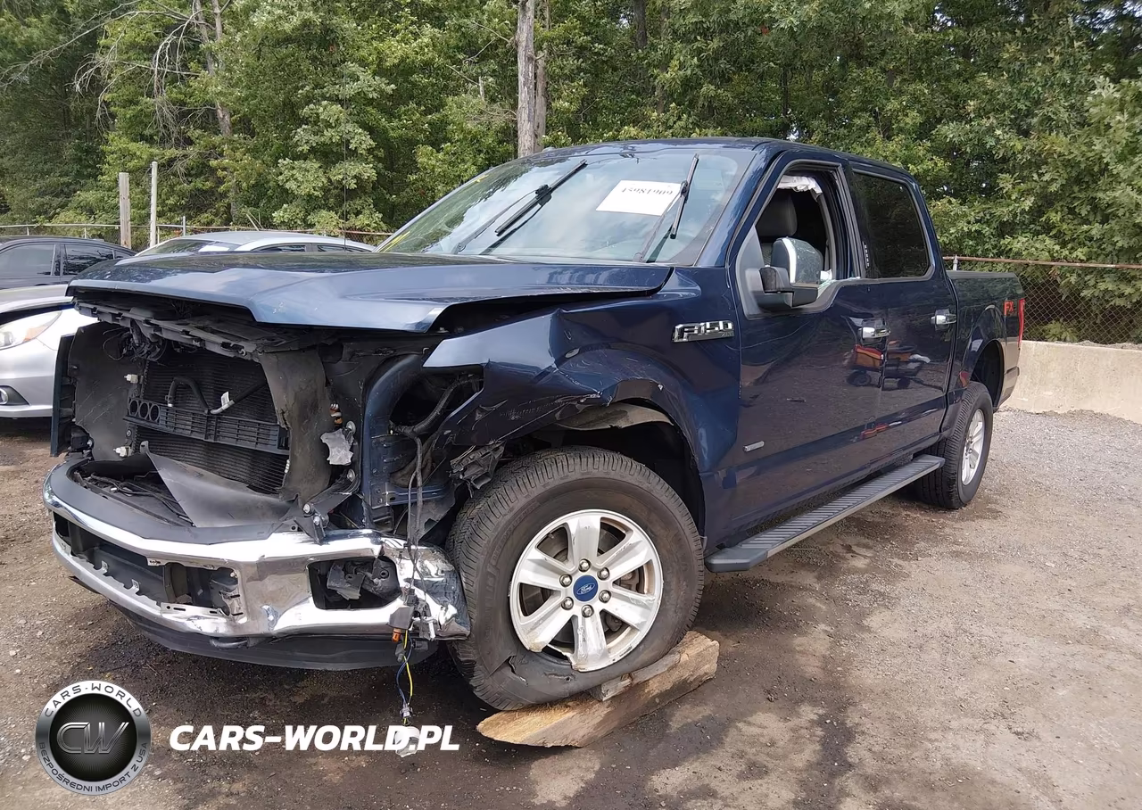 2015 Ford F-150 Xlt VIN:1FTEW1EG6FFC12455 - 2