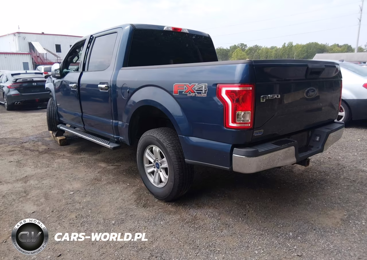 2015 Ford F-150 Xlt VIN:1FTEW1EG6FFC12455 - 3