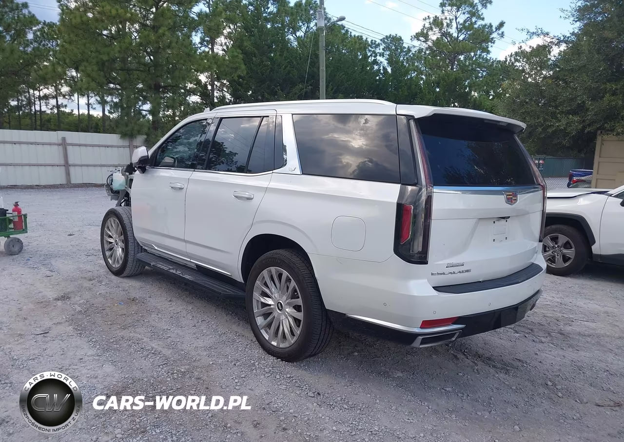 2023 Cadillac Escalade 2Wd Premium Luxury VIN:1GYS3BKL0PR395820 - 3
