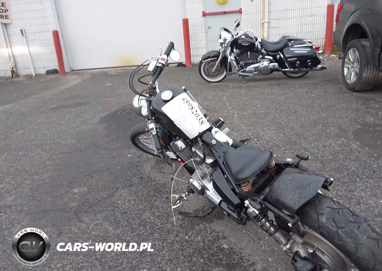 2009 Honda Vt750 C2 VIN:JH2RC53059K200646 - 3