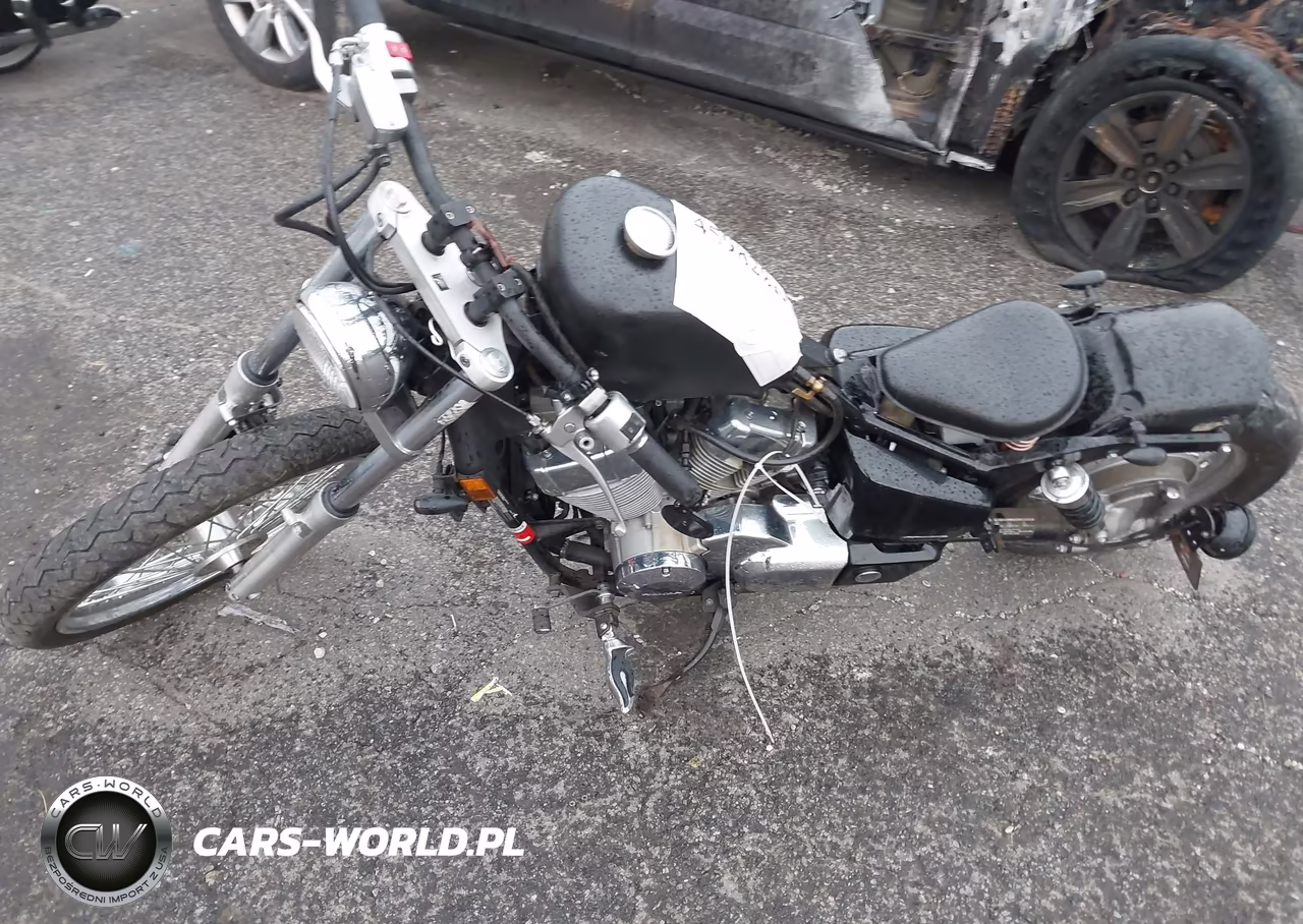 2009 Honda Vt750 C2 VIN:JH2RC53059K200646 - 9