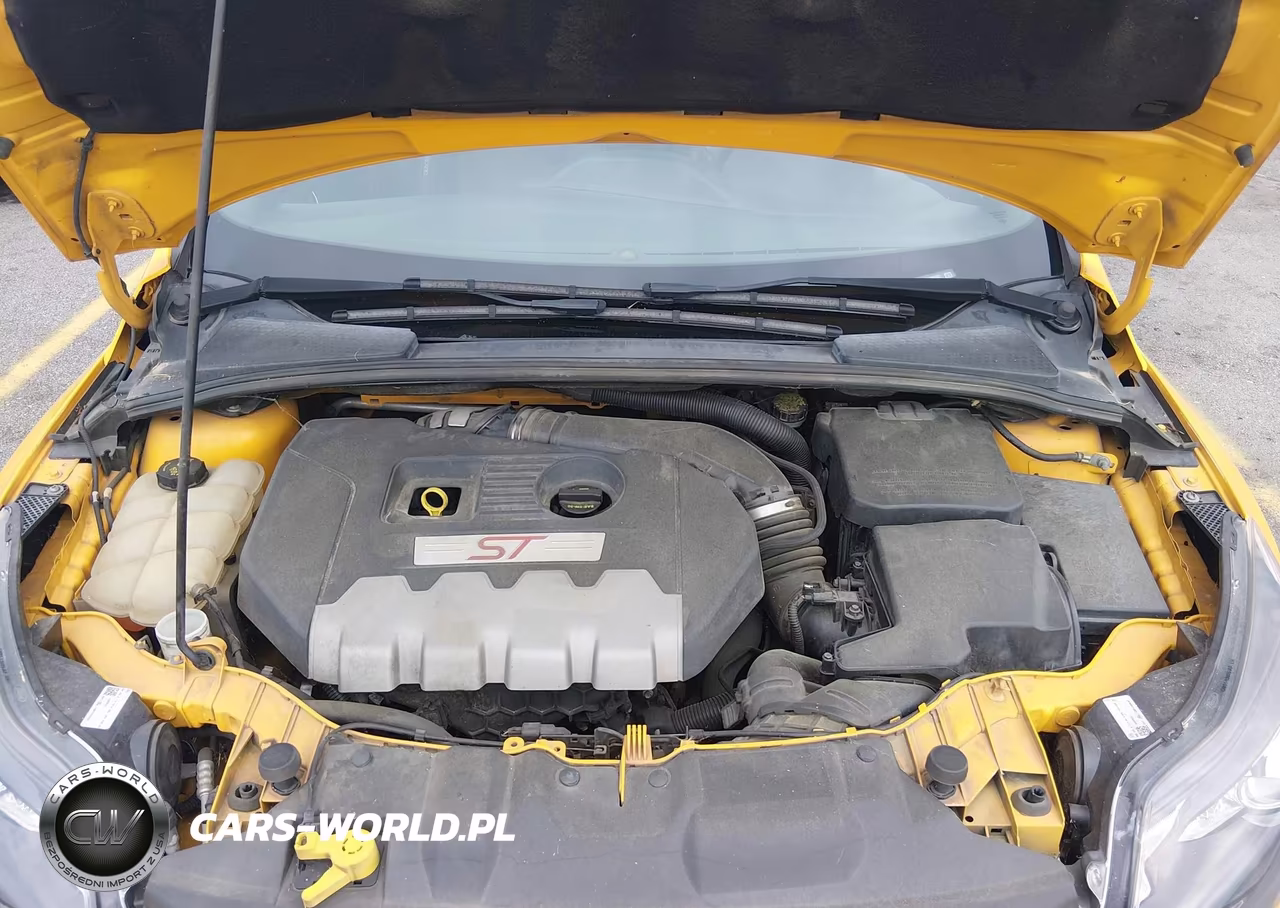 2014 Ford Focus St VIN:1FADP3L92EL156593 - 10