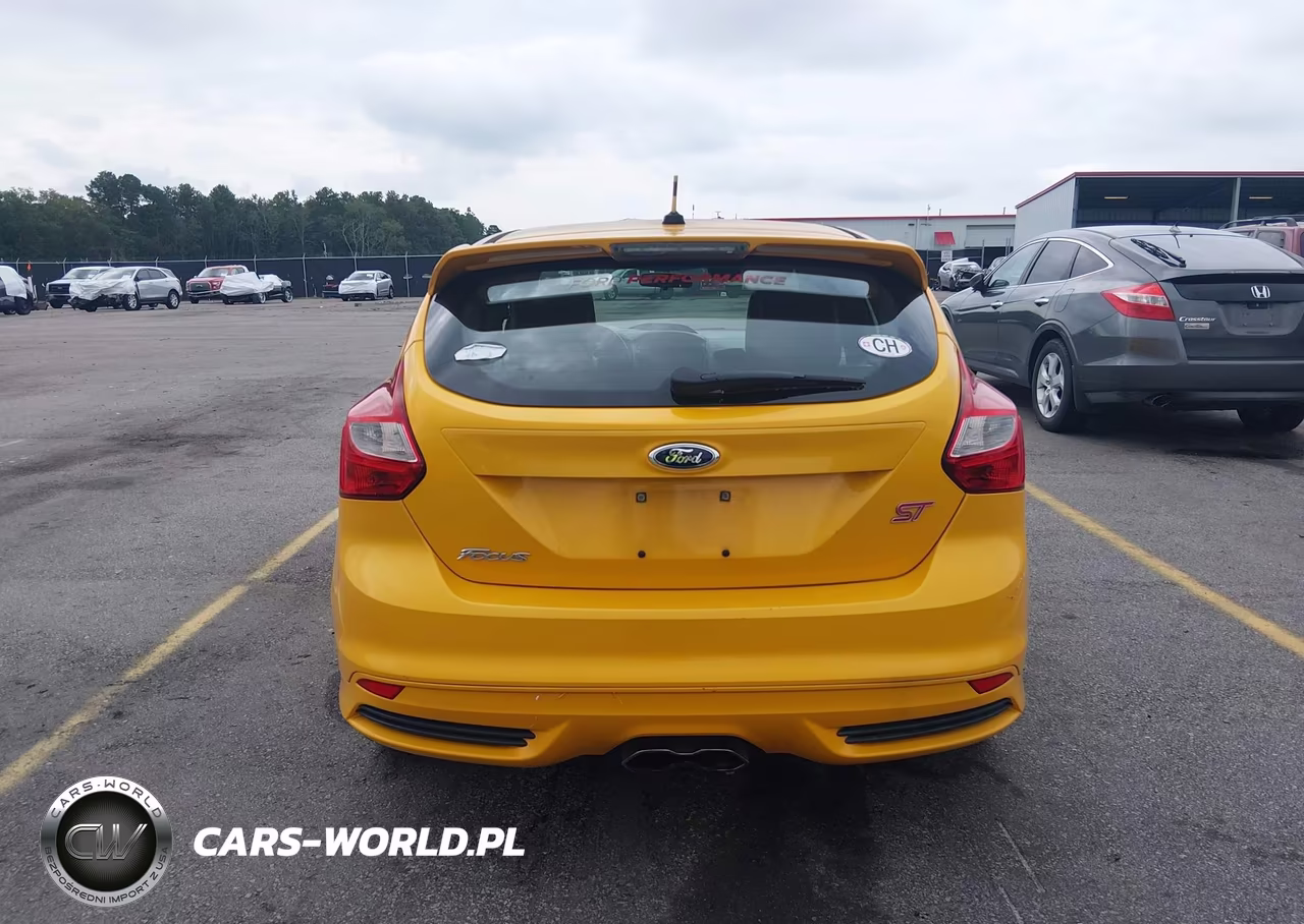 2014 Ford Focus St VIN:1FADP3L92EL156593 - 16
