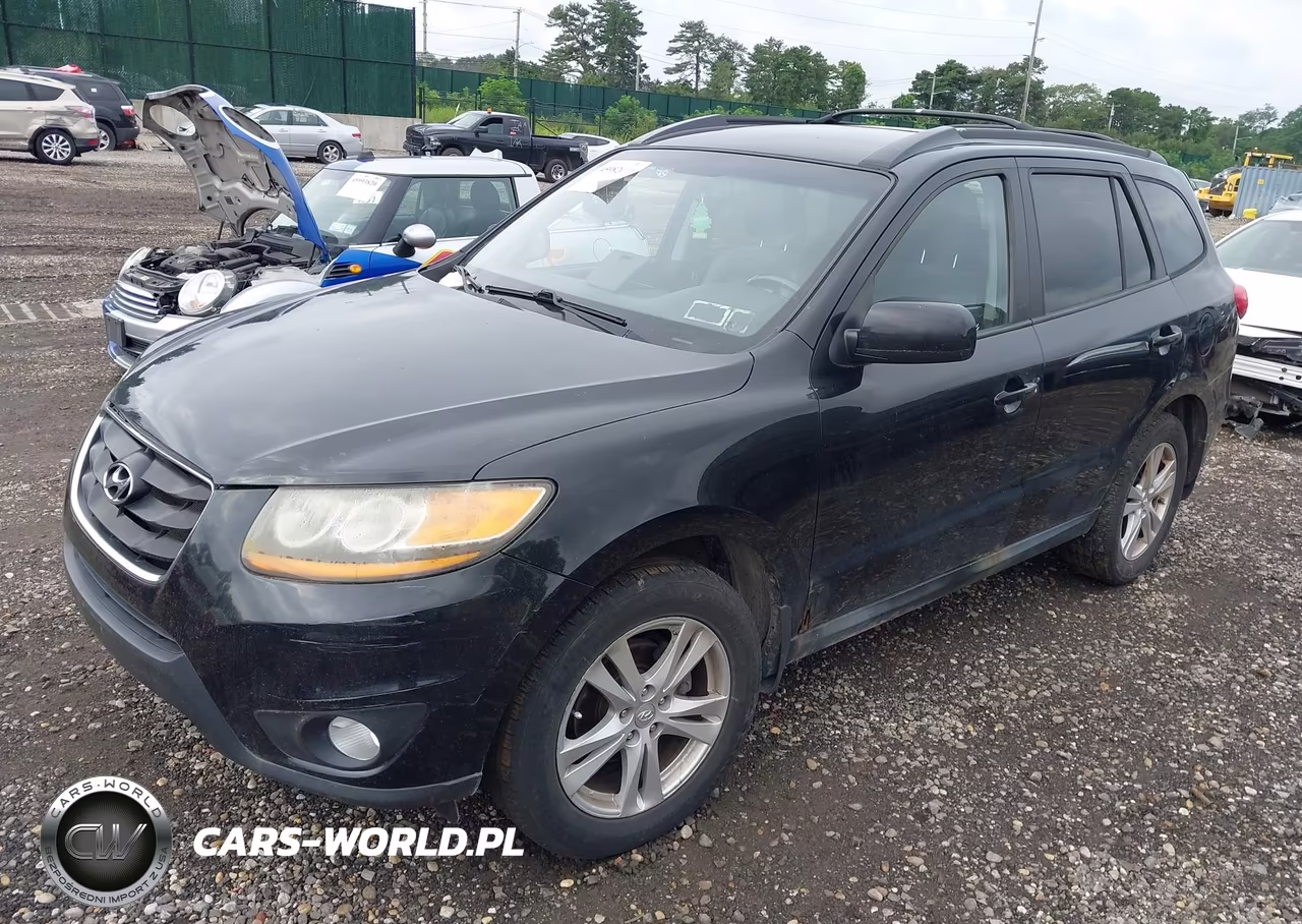 2010 Hyundai Santa Fe Se VIN:5NMSHDAGXAH356333 - 2