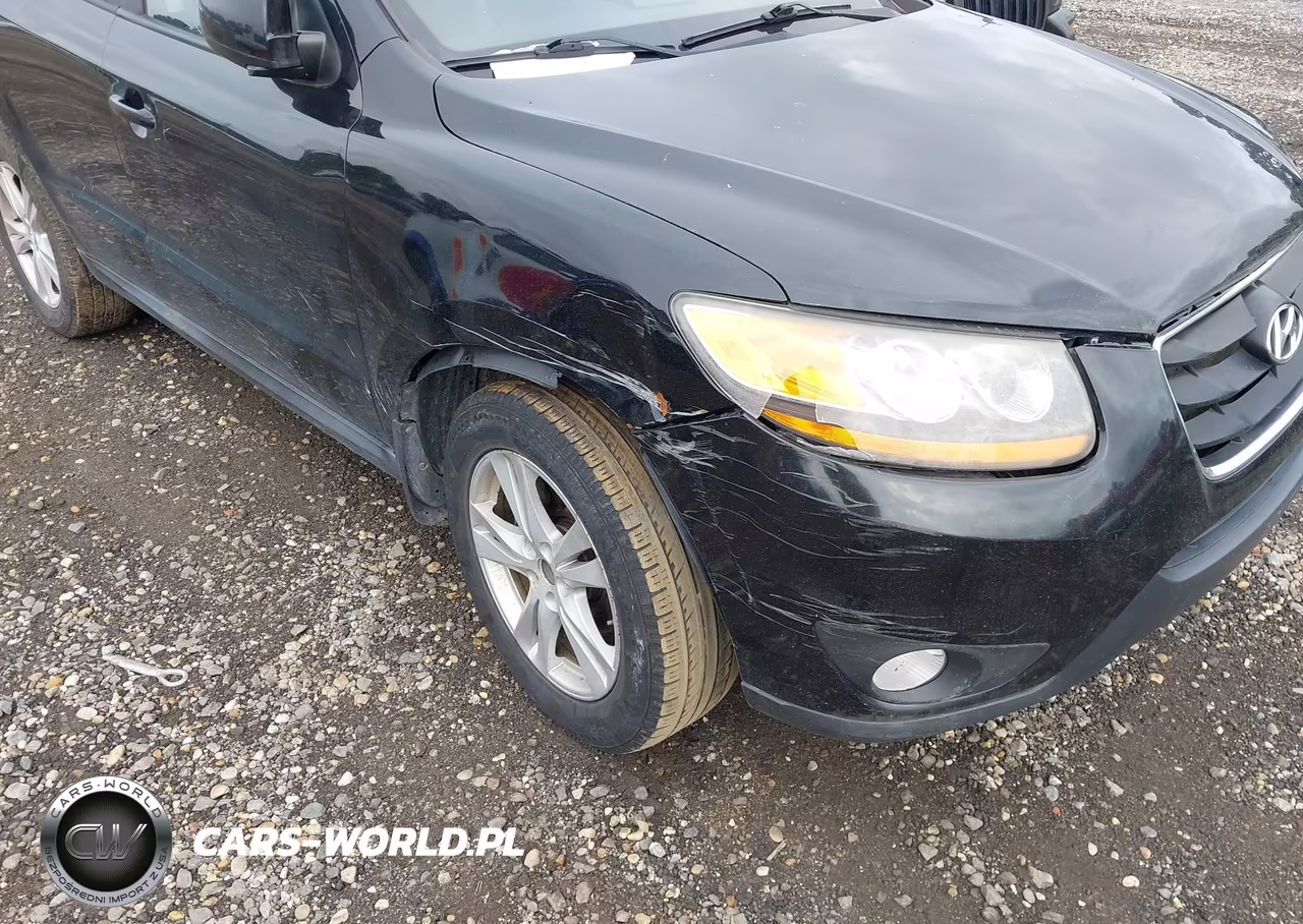 2010 Hyundai Santa Fe Se VIN:5NMSHDAGXAH356333 - 6
