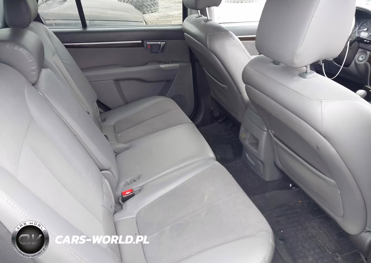 2010 Hyundai Santa Fe Se VIN:5NMSHDAGXAH356333 - 8