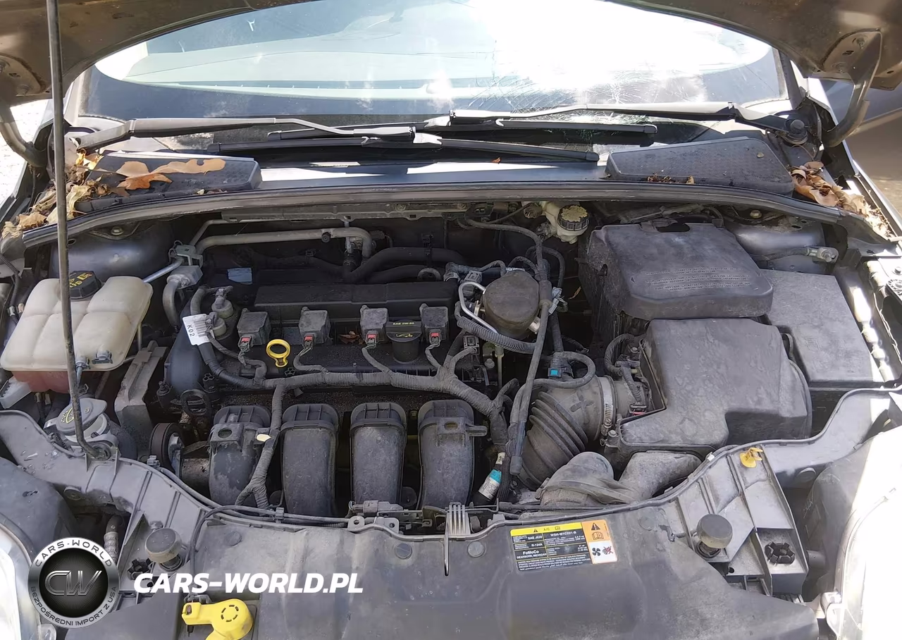 2014 Ford Focus Se VIN:1FADP3K28EL218244 - 10