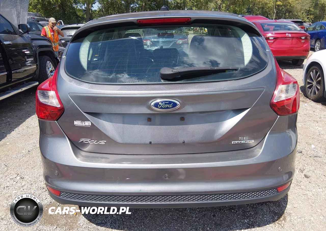 2014 Ford Focus Se VIN:1FADP3K28EL218244 - 16