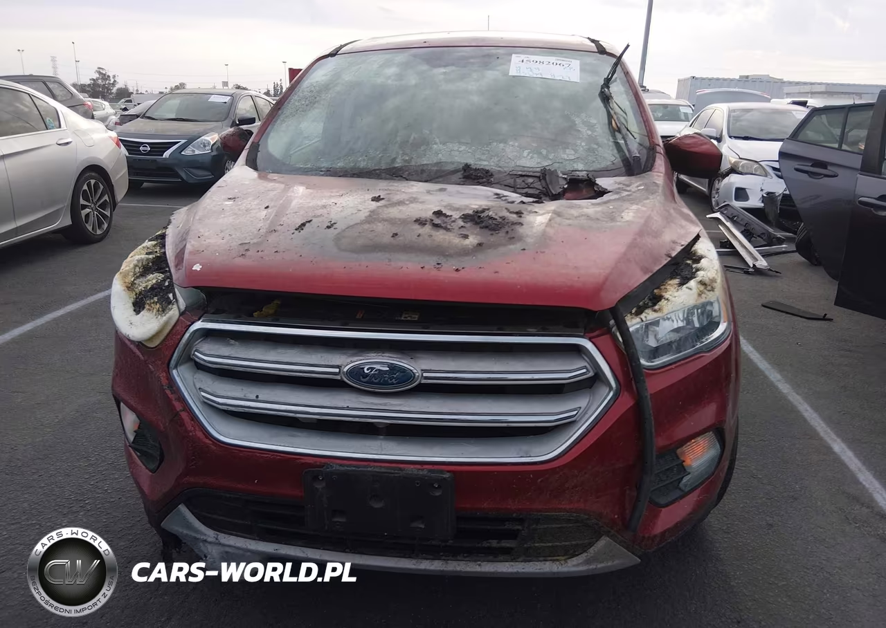 2019 Ford Escape Se VIN:1FMCU0GD7KUA54963 - 6