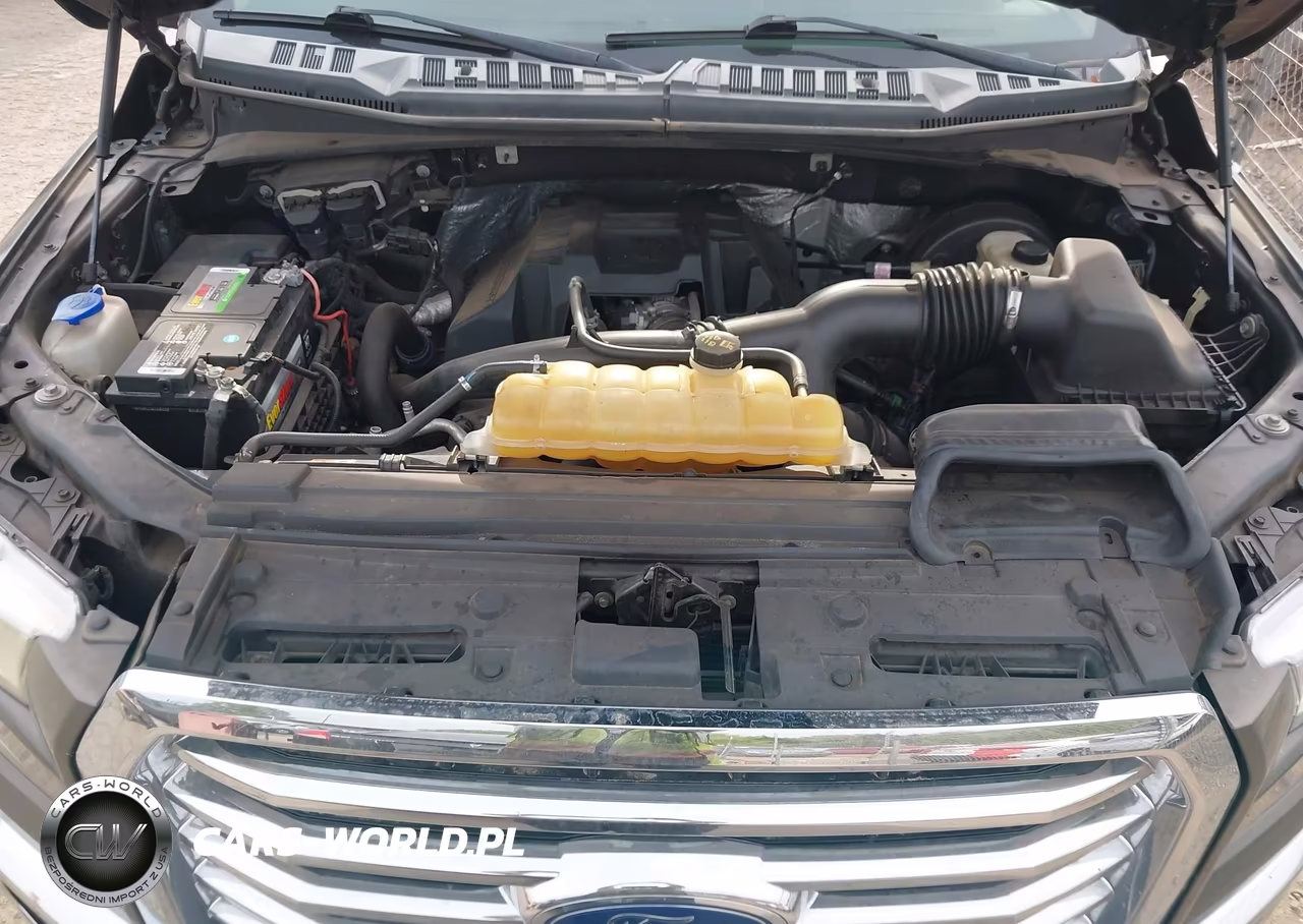 2016 Ford F-150 Xlt VIN:1FTEW1CP8GKF47065 - 10