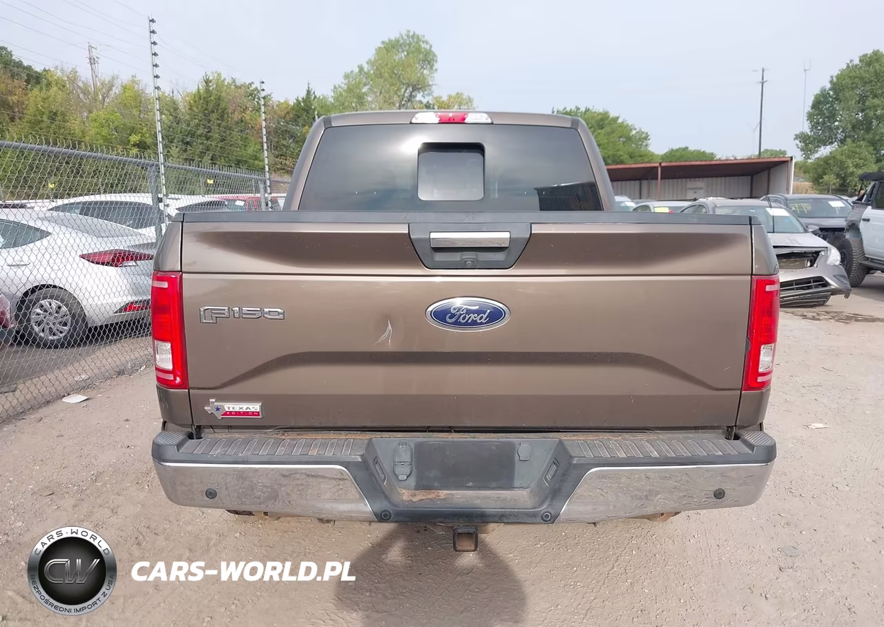 2016 Ford F-150 Xlt VIN:1FTEW1CP8GKF47065 - 15