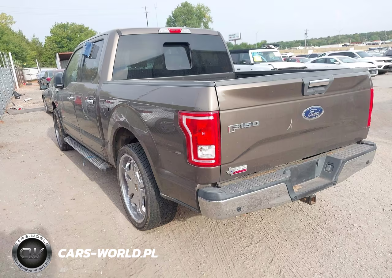 2016 Ford F-150 Xlt VIN:1FTEW1CP8GKF47065 - 3