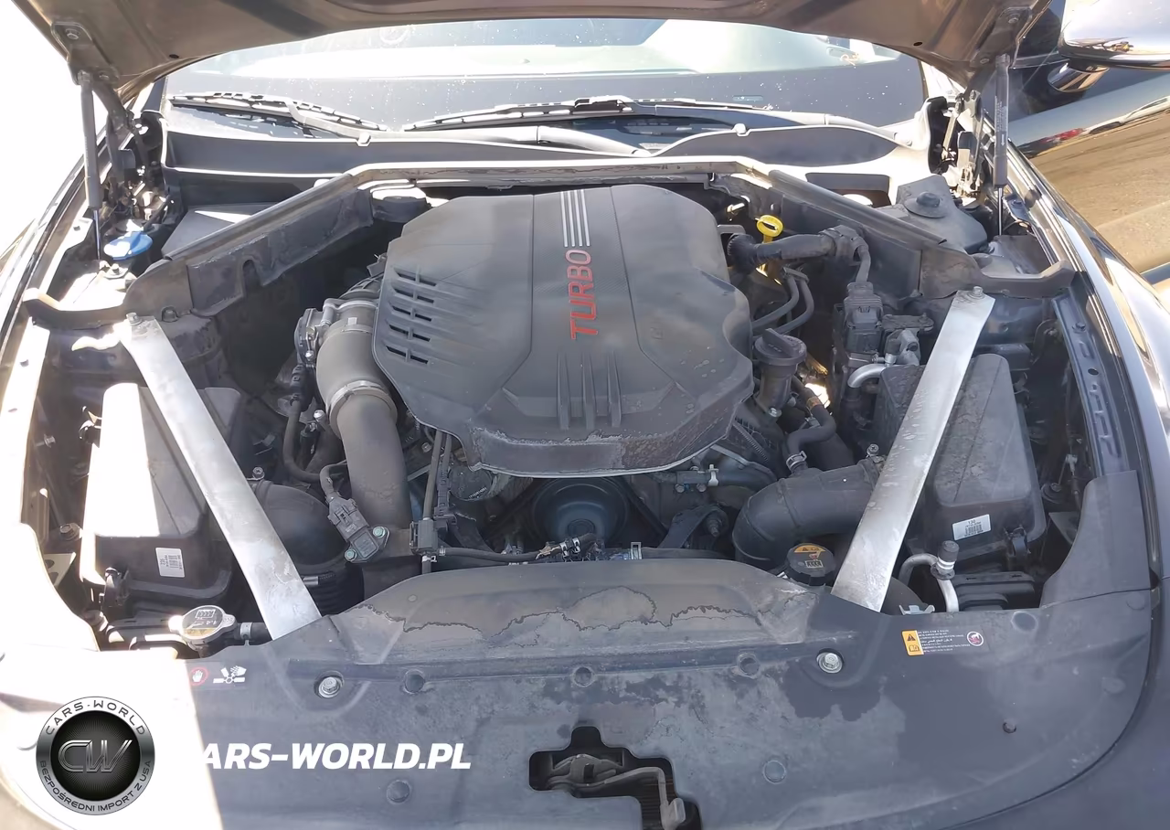 2019 Kia Stinger Gt VIN:KNAE35LC3K6052347 - 10