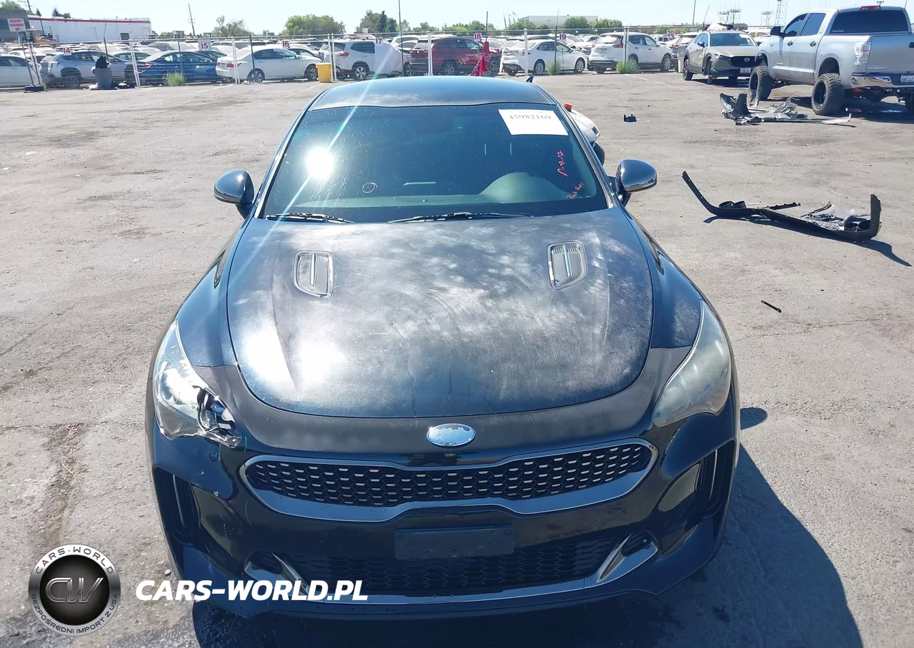 2019 Kia Stinger Gt VIN:KNAE35LC3K6052347 - 12
