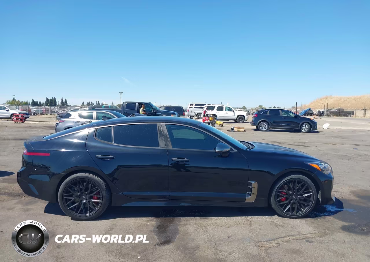 2019 Kia Stinger Gt VIN:KNAE35LC3K6052347 - 13