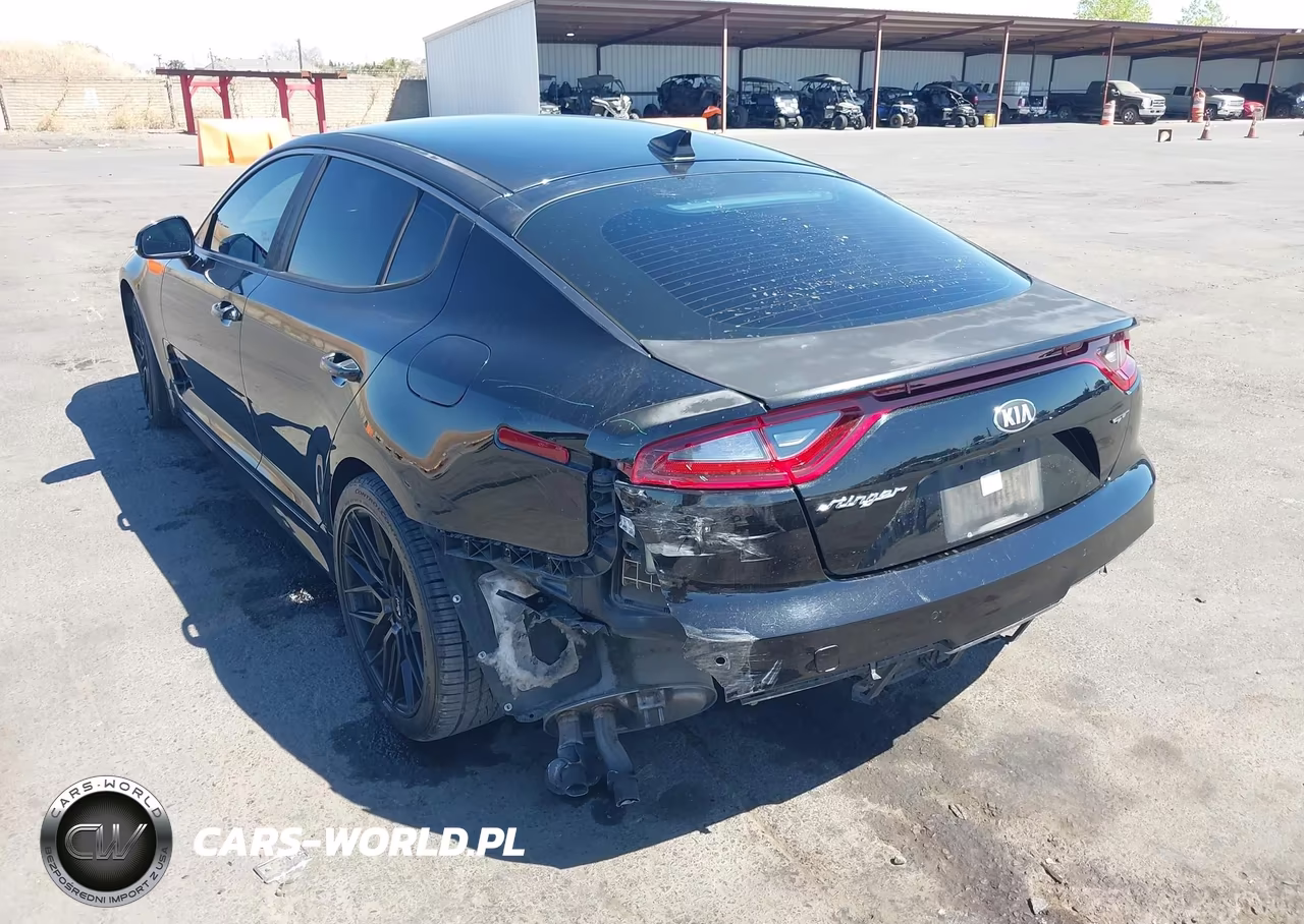 2019 Kia Stinger Gt VIN:KNAE35LC3K6052347 - 3