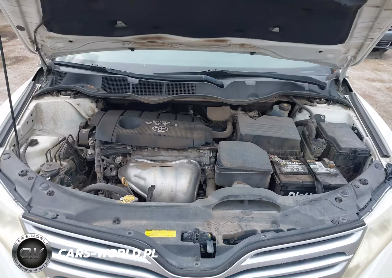 2009 Toyota Venza VIN:4T3ZE11A99U018916 - 10