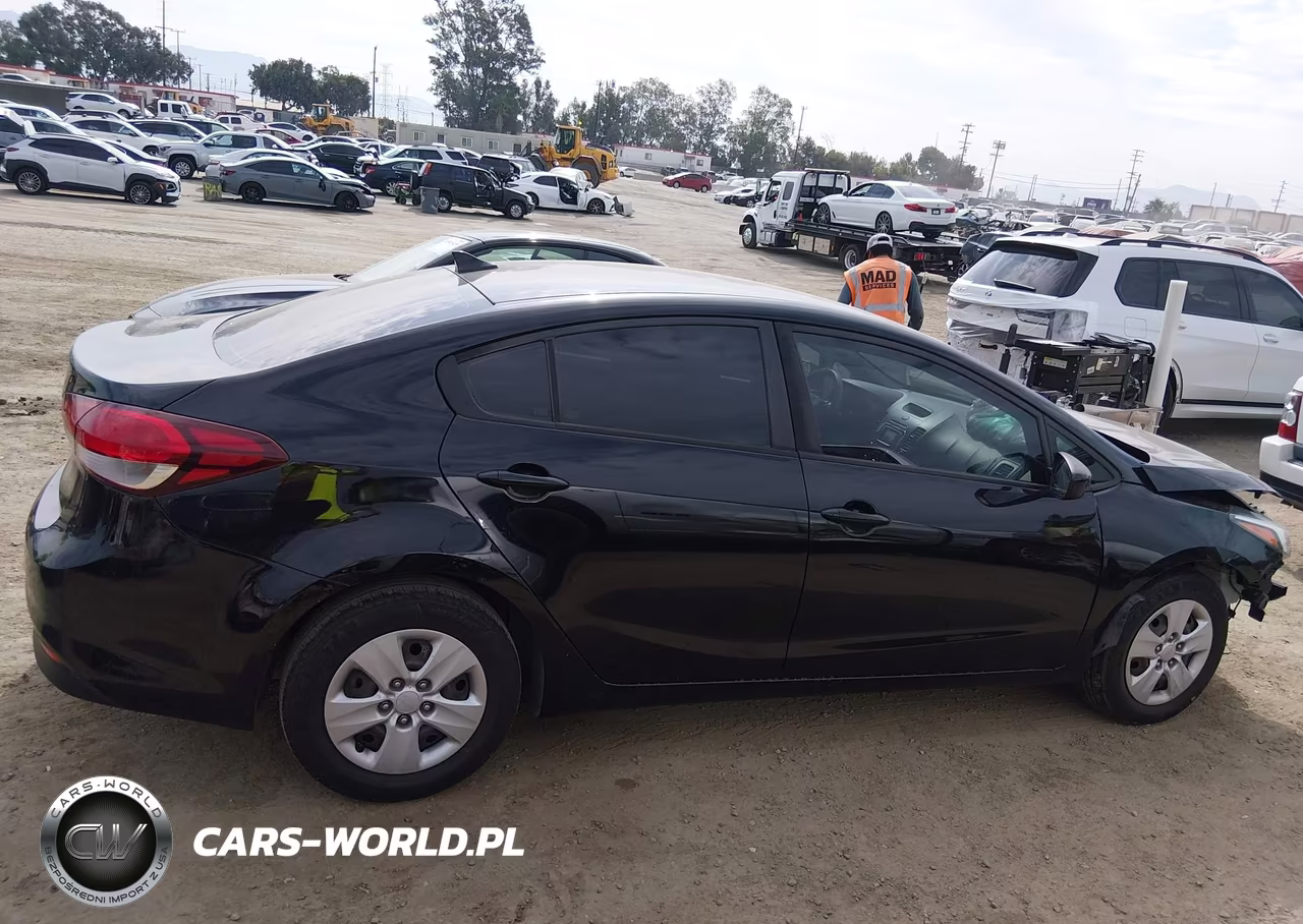 2017 Kia Forte Lx VIN:3KPFL4A7XHE123389 - 13