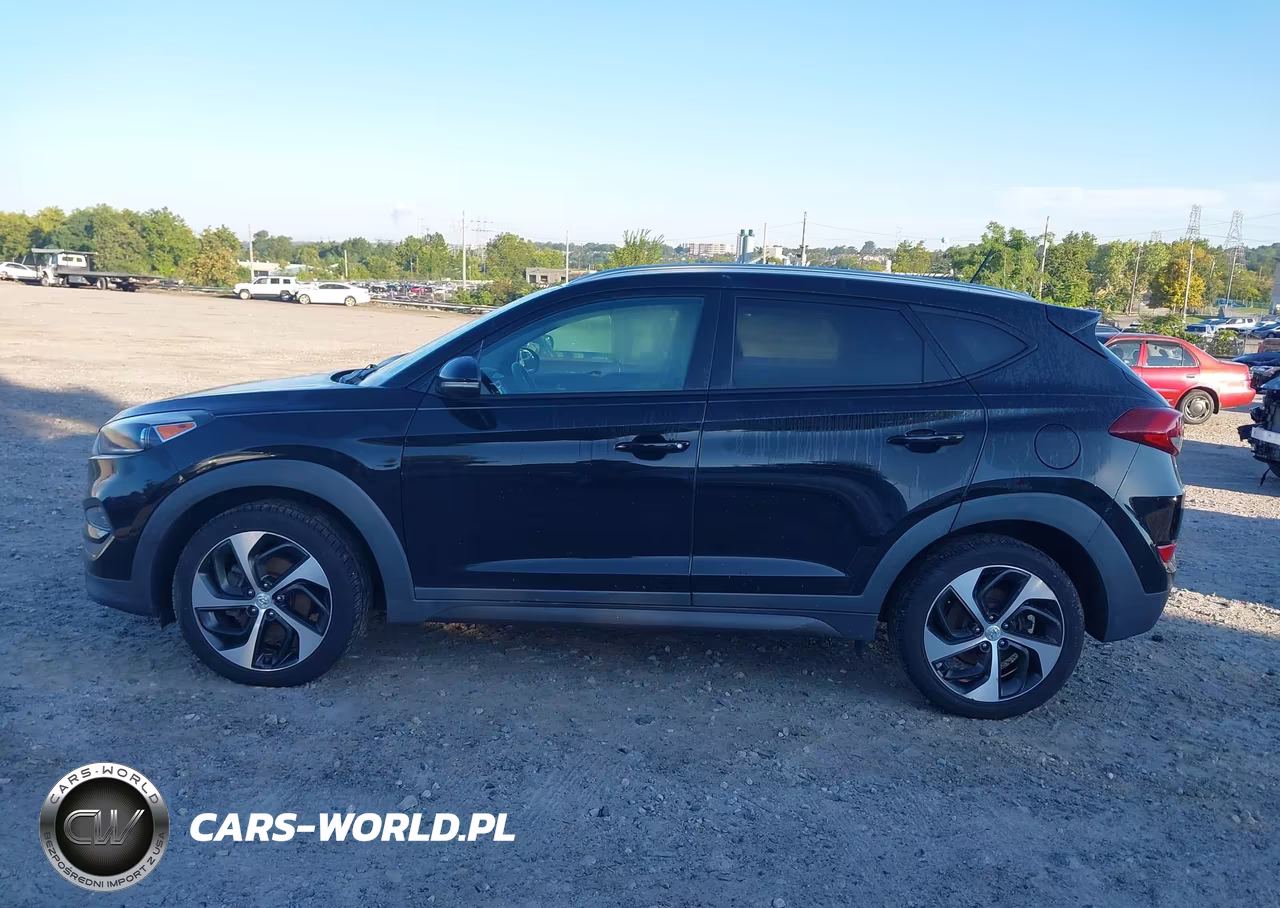 2016 Hyundai Tucson Sport VIN:KM8J3CA21GU076712 - 13