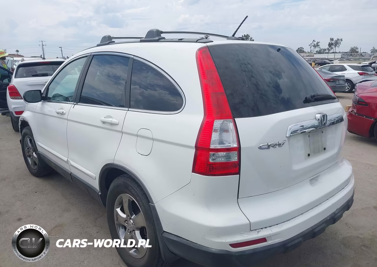 2010 Honda Cr-V Ex-L VIN:5J6RE3H70AL015569 - 3