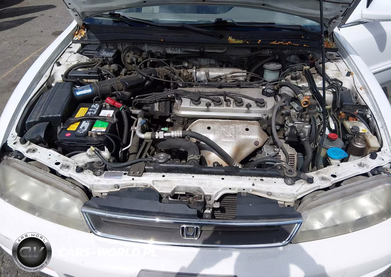 1997 Honda Accord Ex VIN:1HGCD565XVA124295 - 10