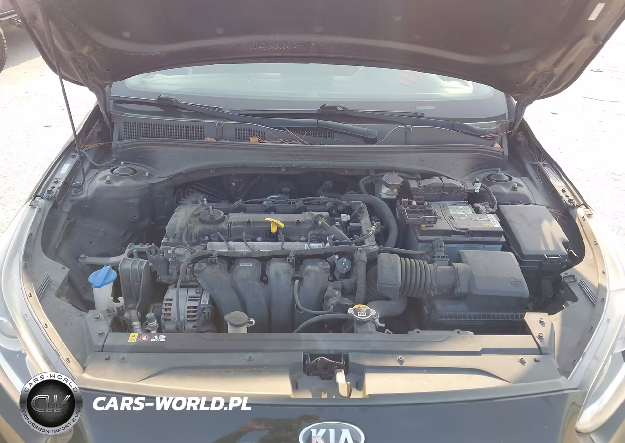 2020 Kia Forte Fe VIN:3KPF24AD6LE145018 - 10