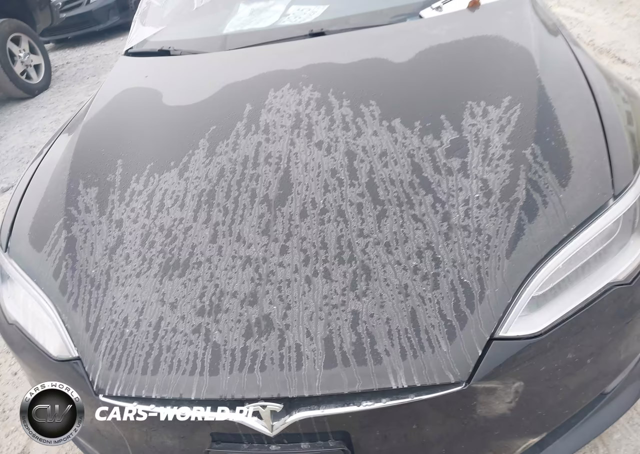 2018 Tesla Model S VIN:5YJSA1E2XJF273374 - 10